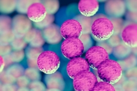 danimarkada-yeni-mrsa-turu-cocuklar-arasinda-yayiliyor-D6daDkdU.jpg