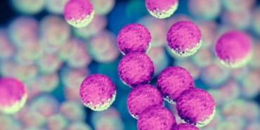 danimarkada-yeni-mrsa-turu-cocuklar-arasinda-yayiliyor-D6daDkdU.jpg