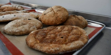 3-bin-yillik-balli-arpa-ekmegi-orijinal-tarifiyle-yeniden-pisirildi-O2AGkpGc.jpg