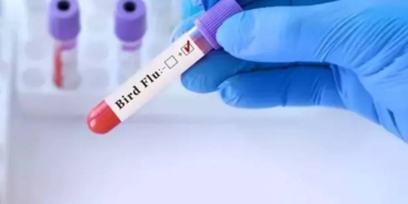 virus-evrim-esiginde-kus-gribinden-ilk-insan-olumu-gerceklesti-WeFRz3Pq.jpg