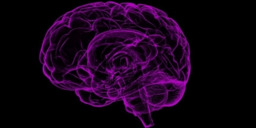direncli-epilepside-guncel-tani-ve-tedavi-uyarisi-dZEYjf8C.jpg