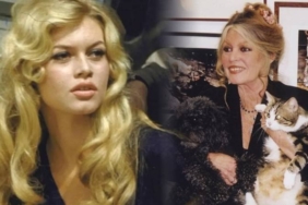 fransiz-oyuncu-brigitte-bardot-hayatini-kaybetti-OEPExm2X.jpg