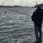 istanbulda-olta-balikcilari-lodosu-firsata-cevirdi-buyuk-baliklar-ortaya-geliyor-kucuk-baliklar-da-kiyiya-ShlijwMj.webp