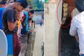 Hindistan'da Bir Evin Klozetinden Çıkan Dev Kobra Mahallede Panik Yarattı