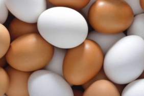 Yumurtanın Besin Değerini Koruyan En Sağlıklı Pişirme Yöntemleri Açıklandı
