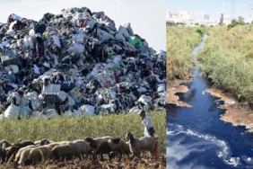 Türkiye'nin İthal Ettiği Plastik Atıklar Akdeniz Kıyılarını ve Tarım Alanlarını Tehdit Ediyor