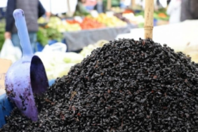 Sivas kırsalında toplanan karamuk meyvesi kurutularak çay olarak tüketiliyor